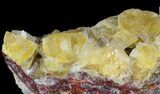 Lustrous, Yellow Cubic Fluorite Crystals - Morocco #44892-1